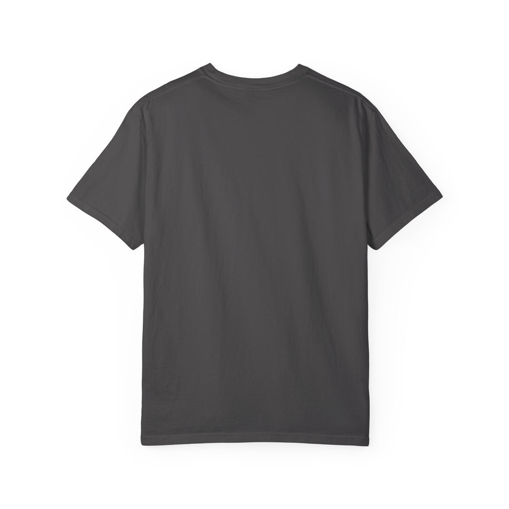 Dear Santa I Can Explain Christmas T-Shirt