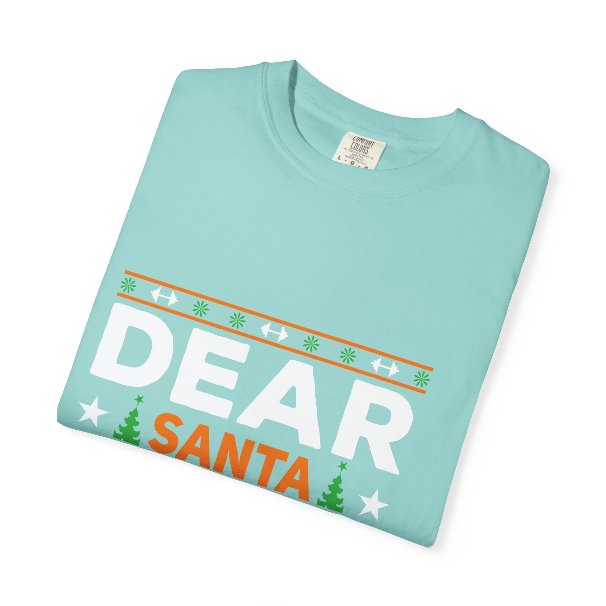 Dear Santa I Can Explain Christmas T-Shirt