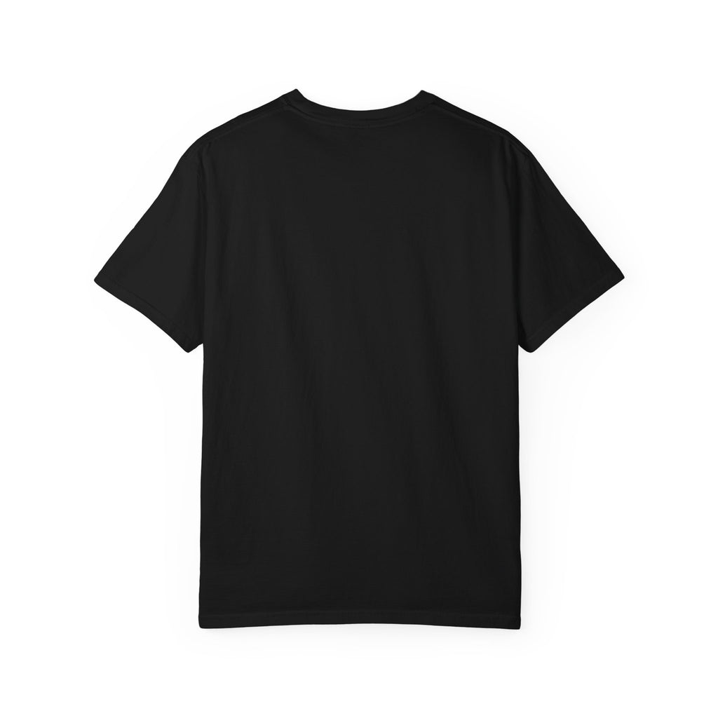 Dear Santa I Can Explain Christmas T-Shirt