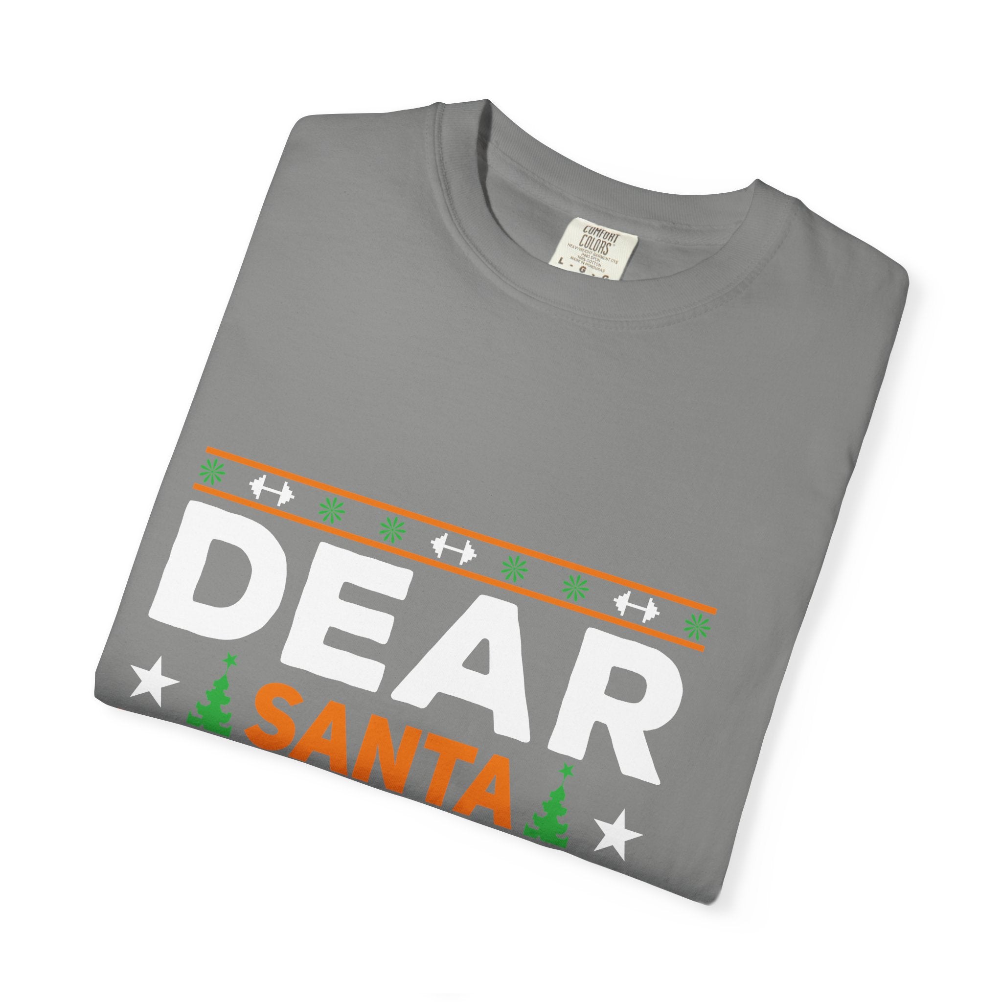 Dear Santa I Can Explain Christmas T-Shirt