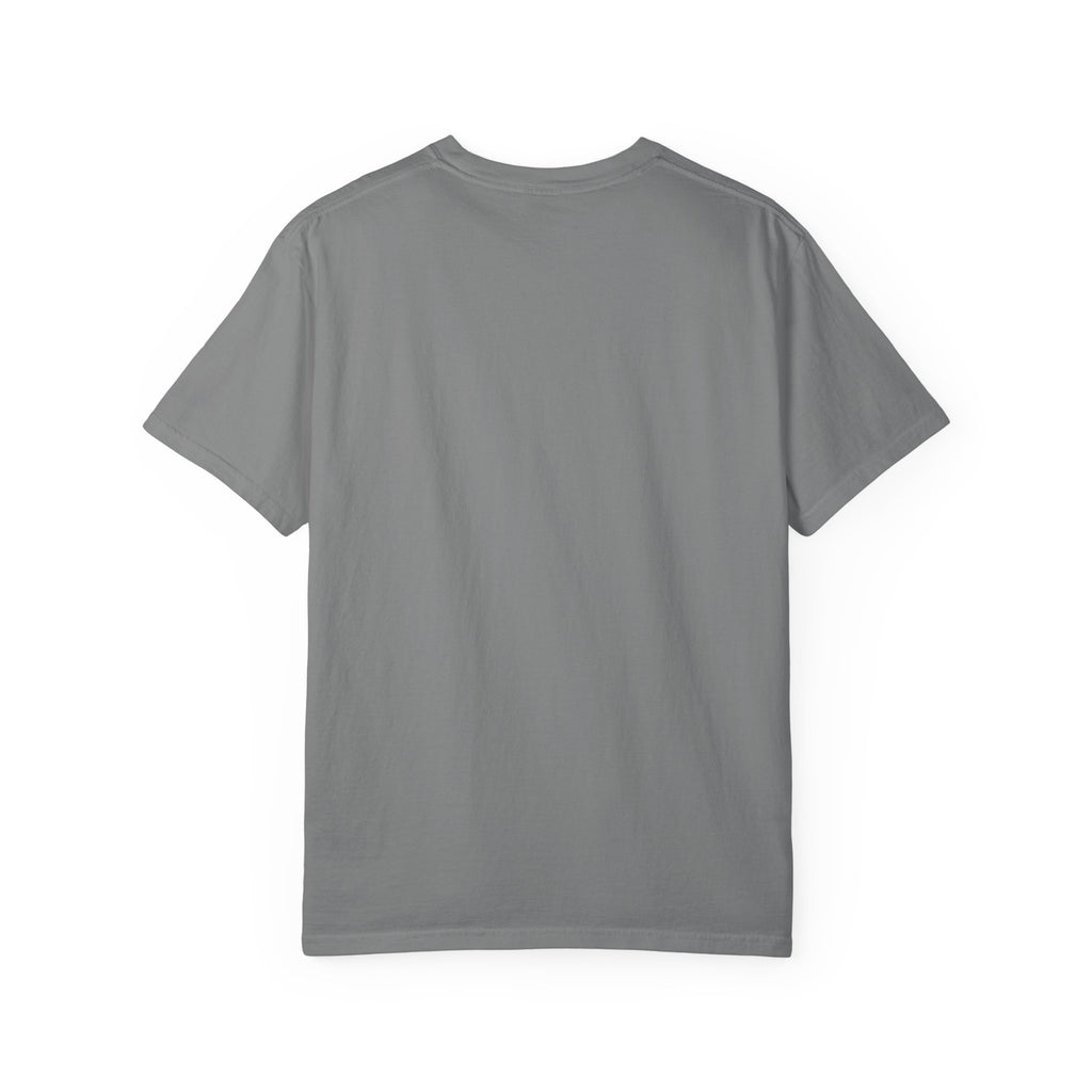 Dear Santa I Can Explain Christmas T-Shirt