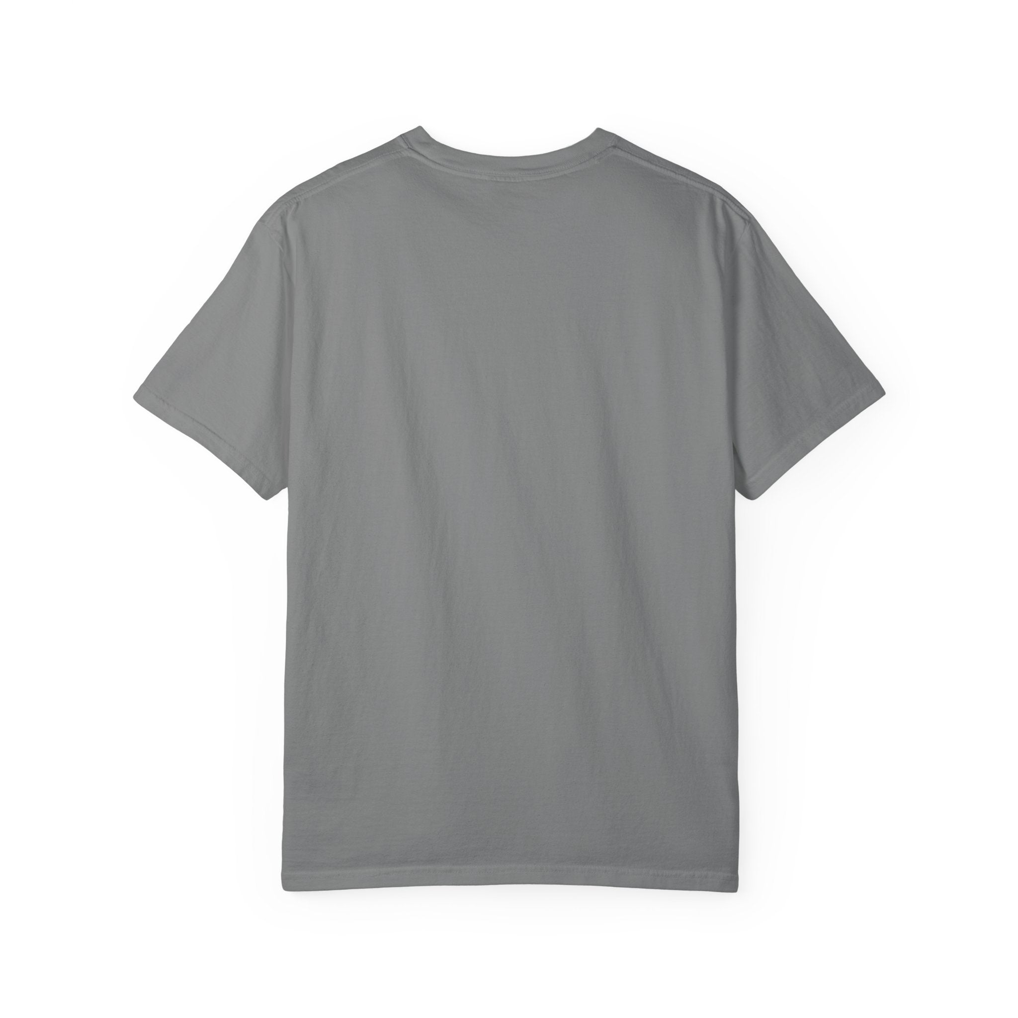 Dear Santa I Can Explain Christmas T-Shirt