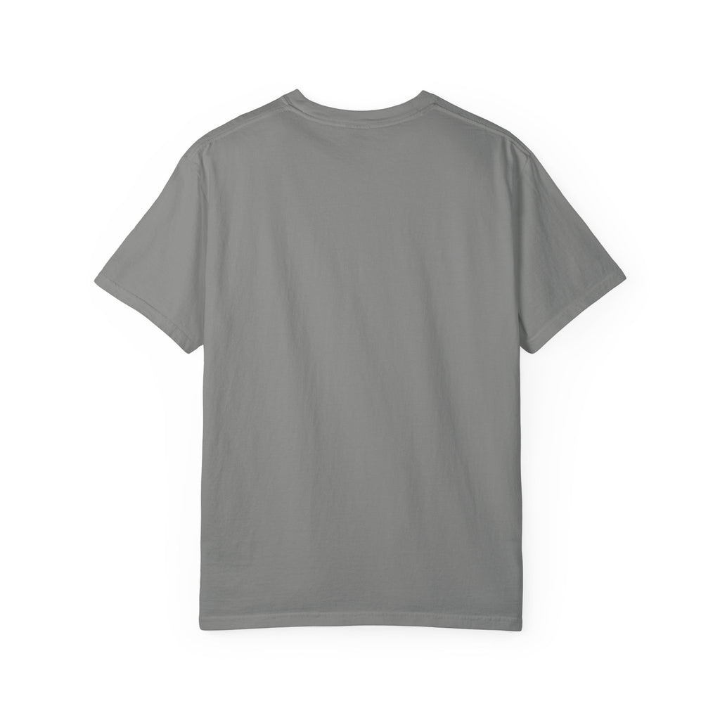 Dear Santa I Can Explain Christmas T-Shirt
