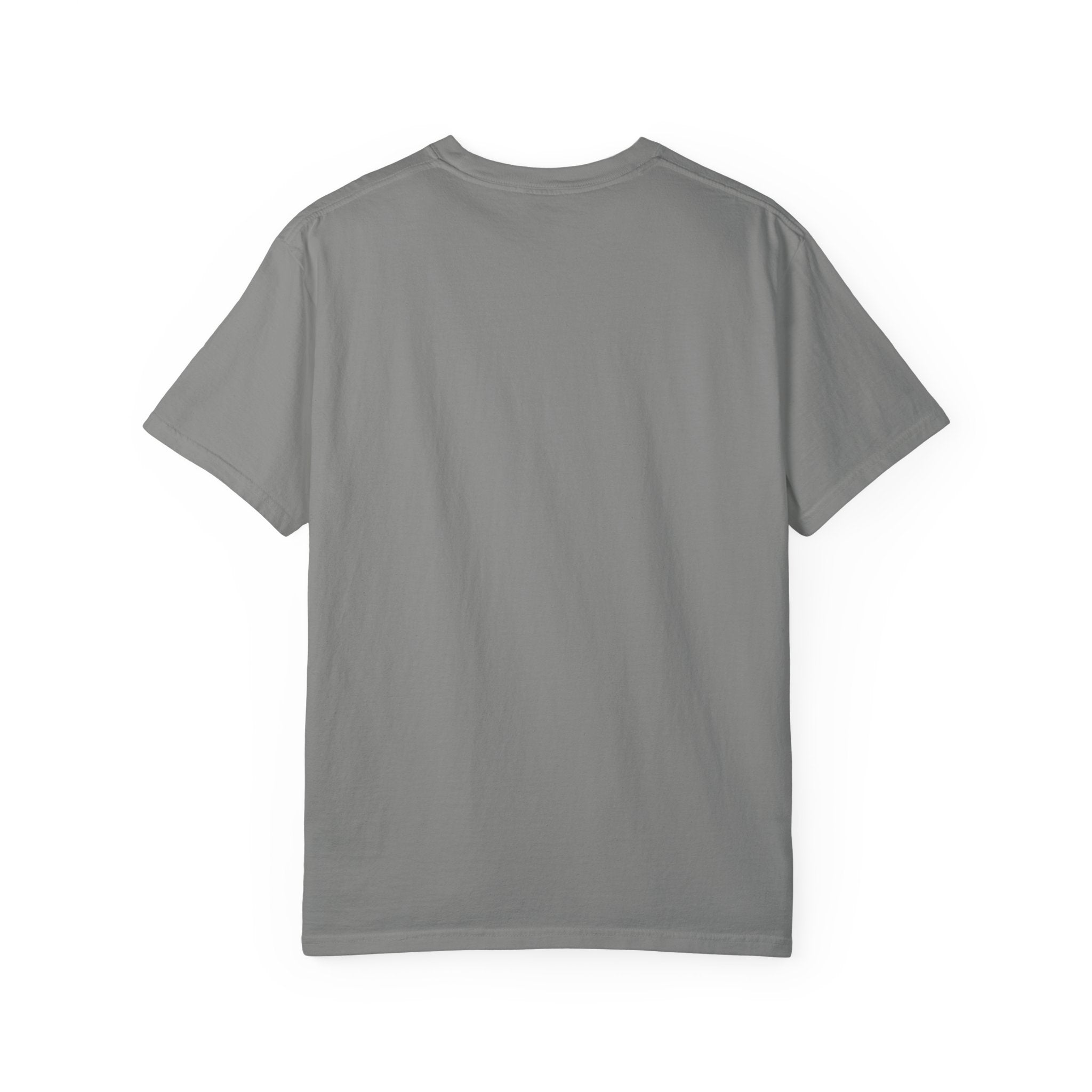 Dear Santa I Can Explain Christmas T-Shirt