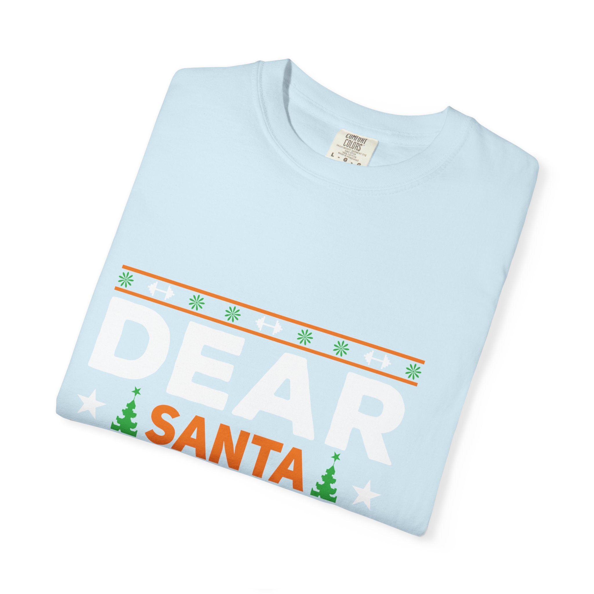 Dear Santa I Can Explain Christmas T-Shirt