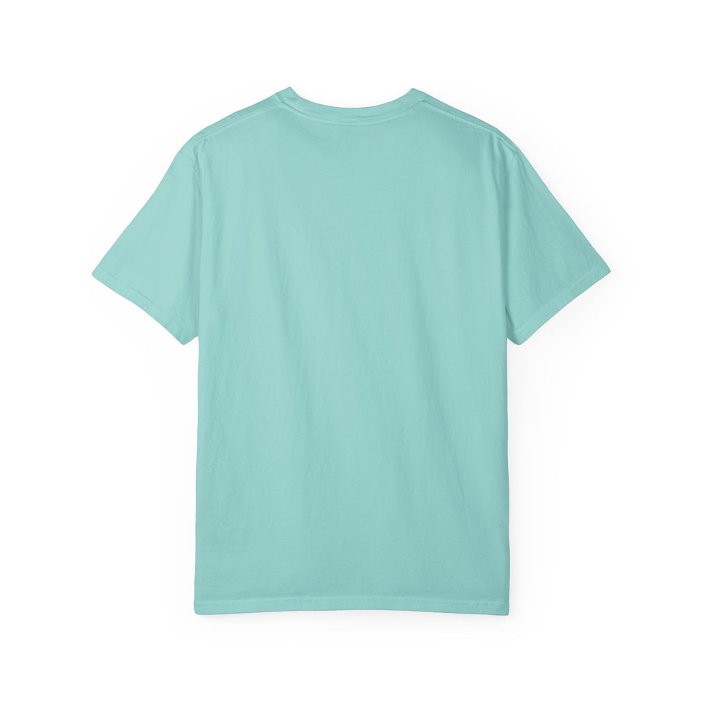 Dear Santa I Can Explain Christmas T-Shirt