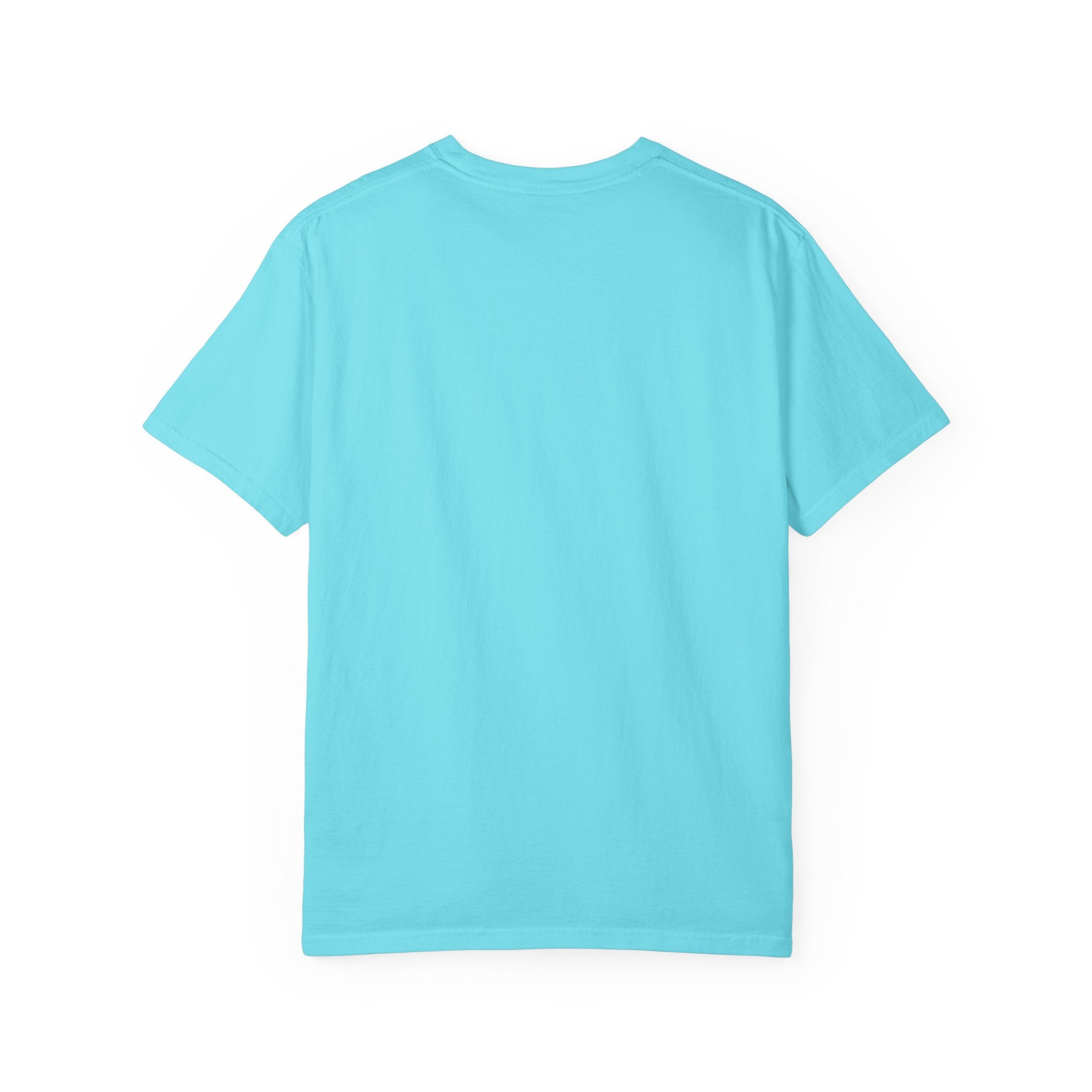 Dear Santa I Can Explain Christmas T-Shirt