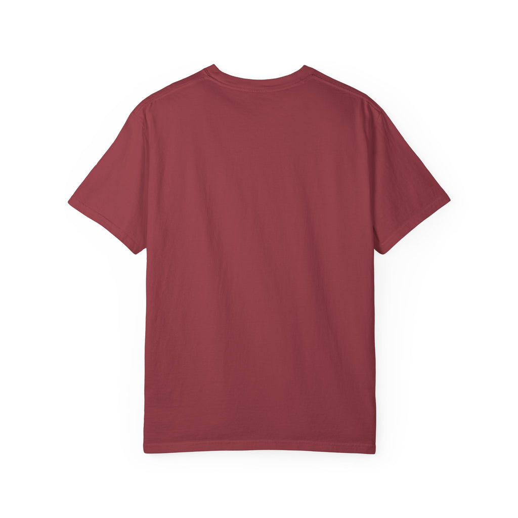 Dear Santa I Can Explain Christmas T-Shirt
