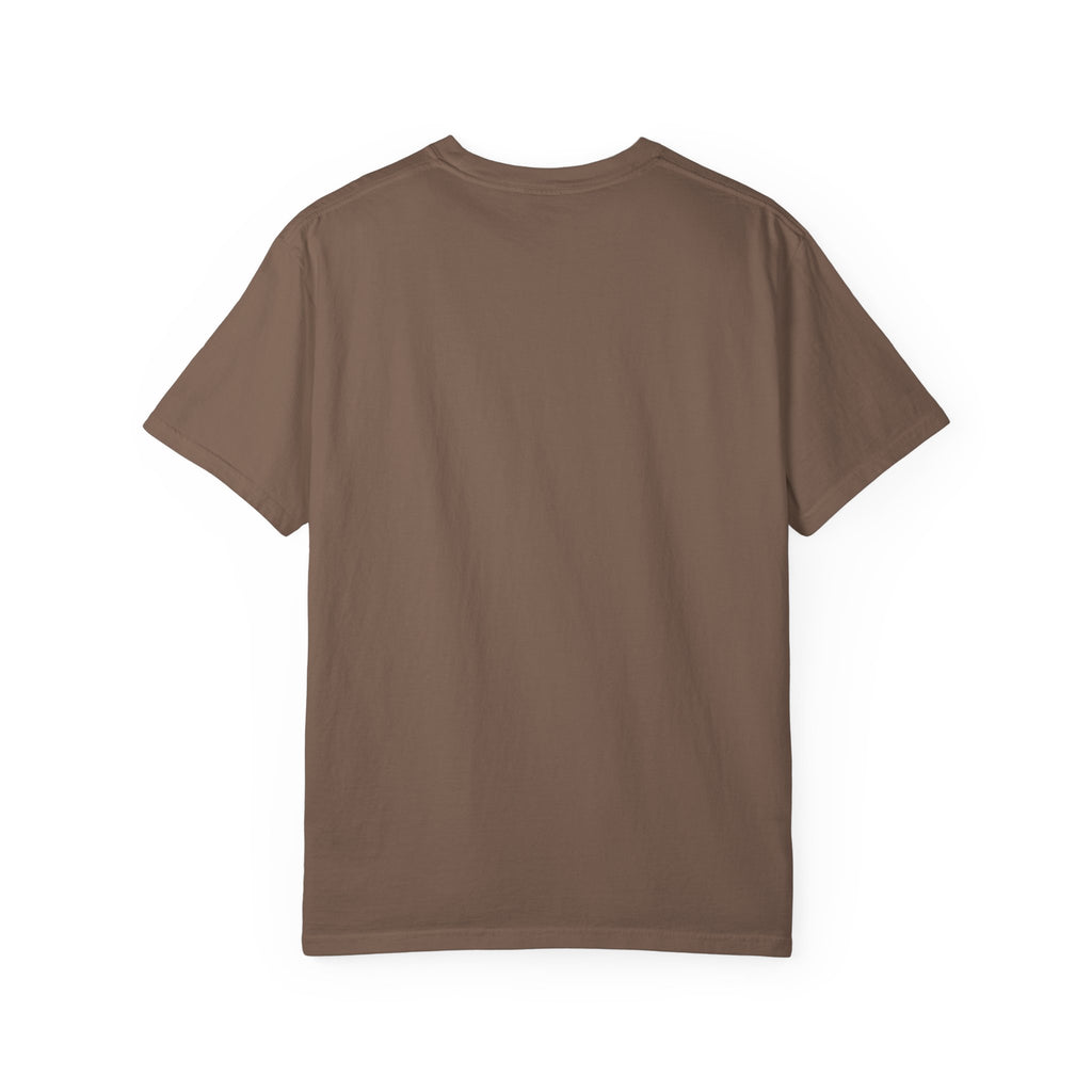 Dear Santa I Can Explain Christmas T-Shirt