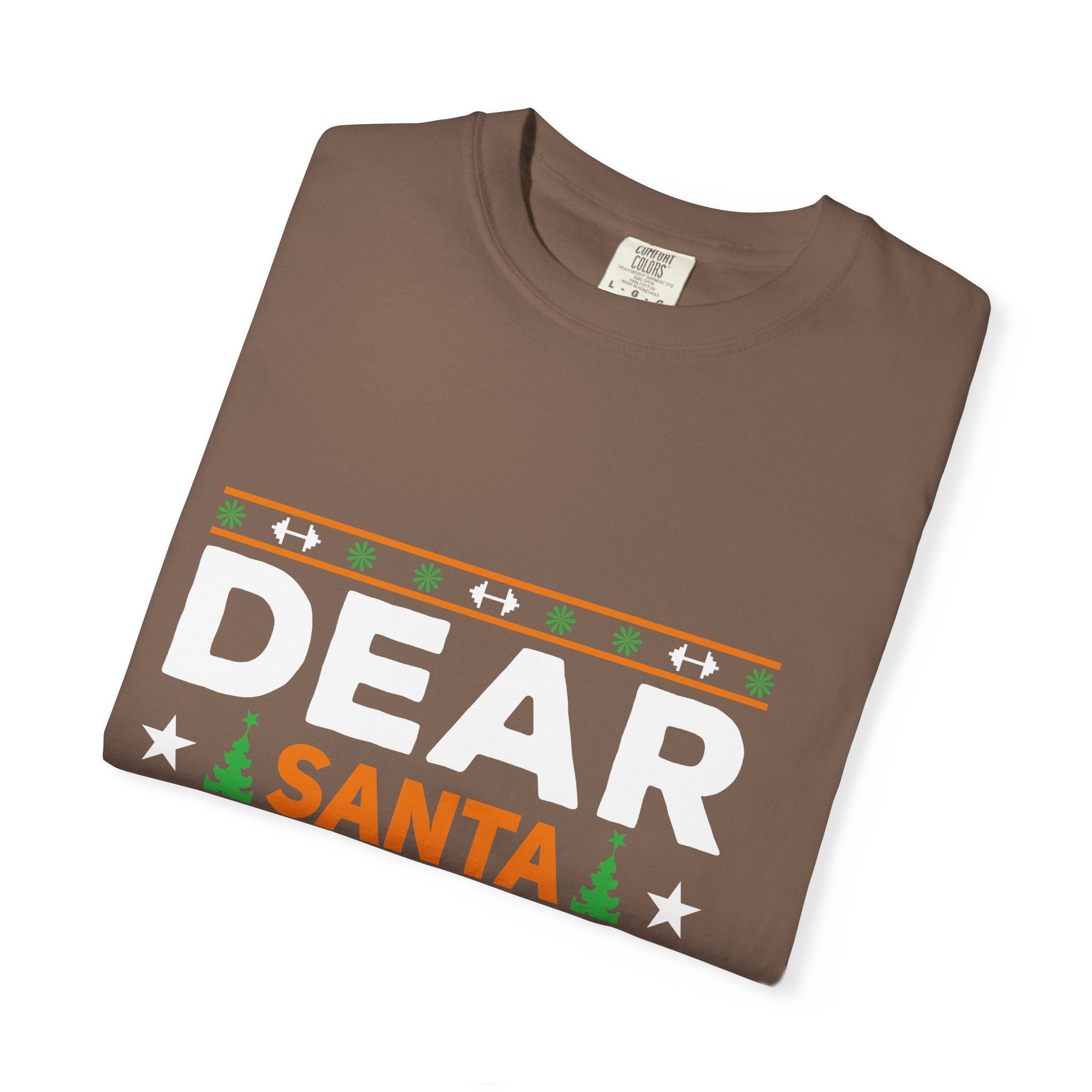 Dear Santa I Can Explain Christmas T-Shirt