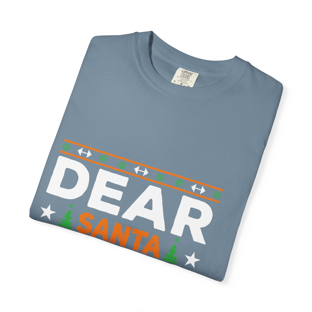 Dear Santa I Can Explain Christmas T-Shirt