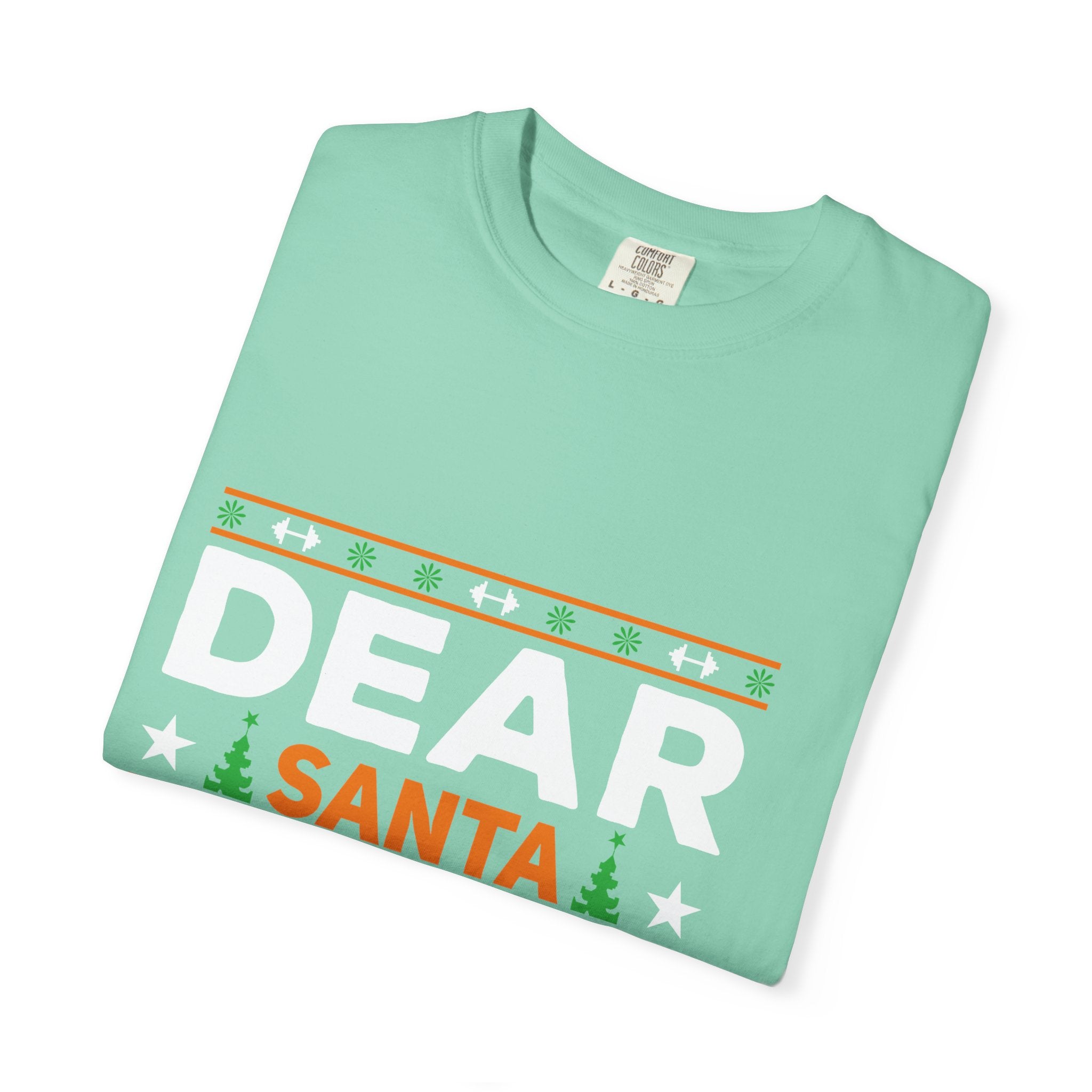 Dear Santa I Can Explain Christmas T-Shirt
