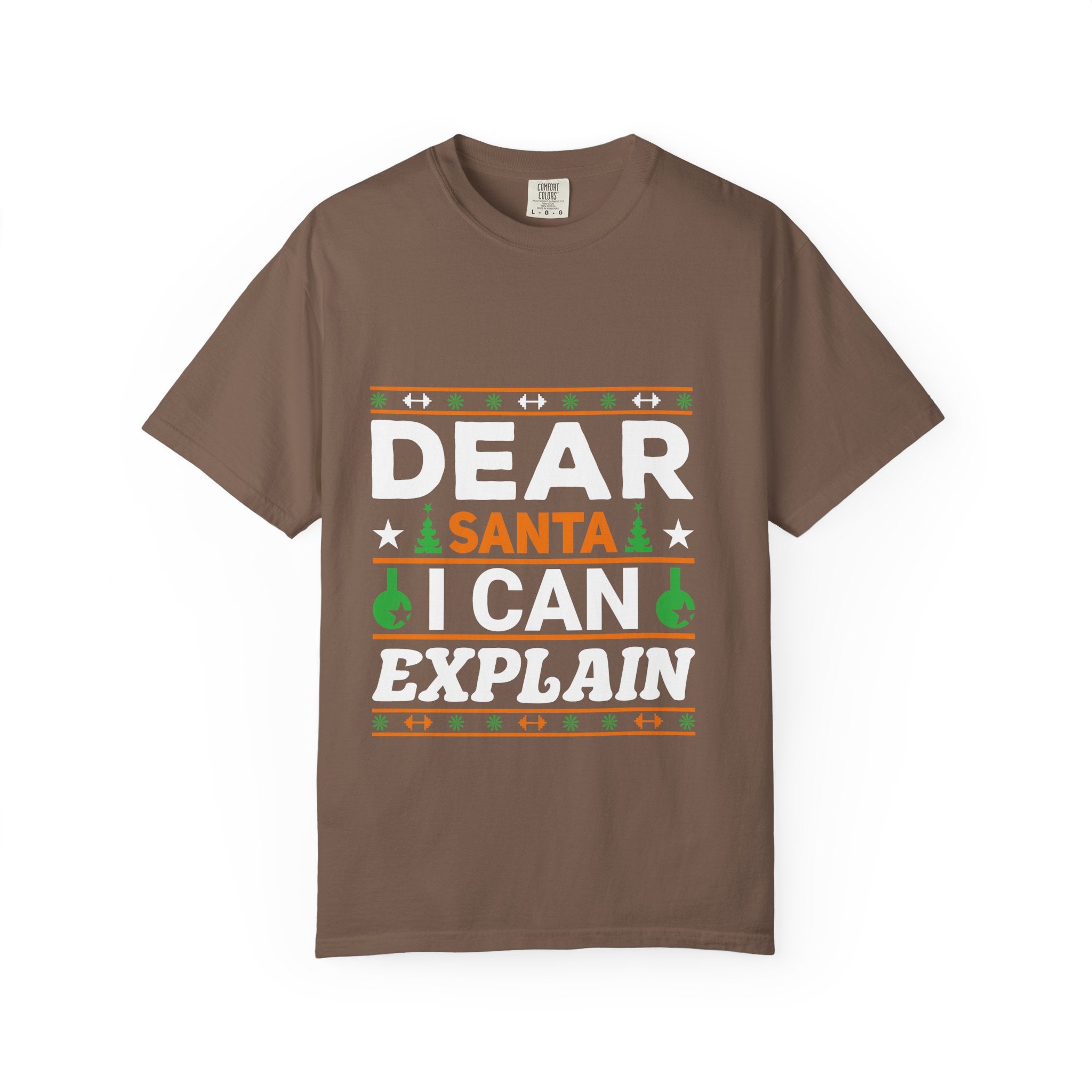 Dear Santa I Can Explain Christmas T-Shirt