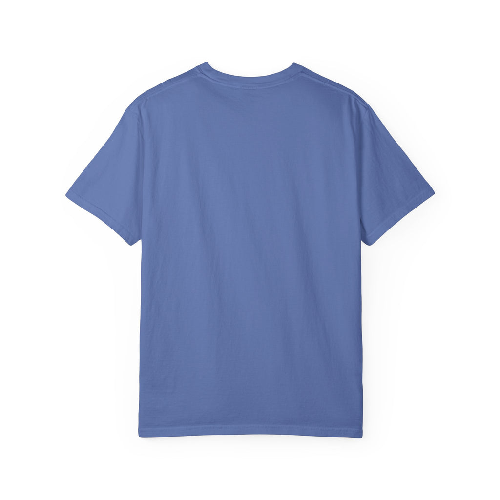 Dear Santa I Can Explain Christmas T-Shirt