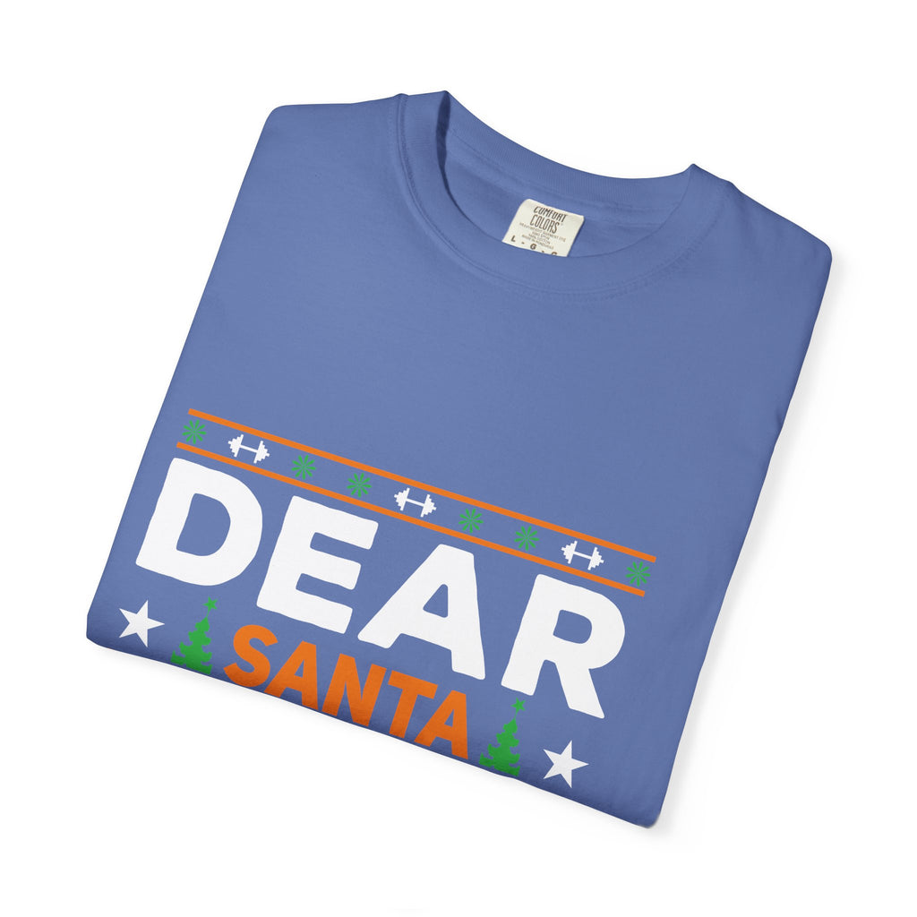 Dear Santa I Can Explain Christmas T-Shirt