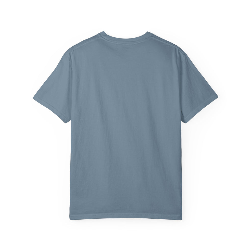 Dear Santa I Can Explain Christmas T-Shirt