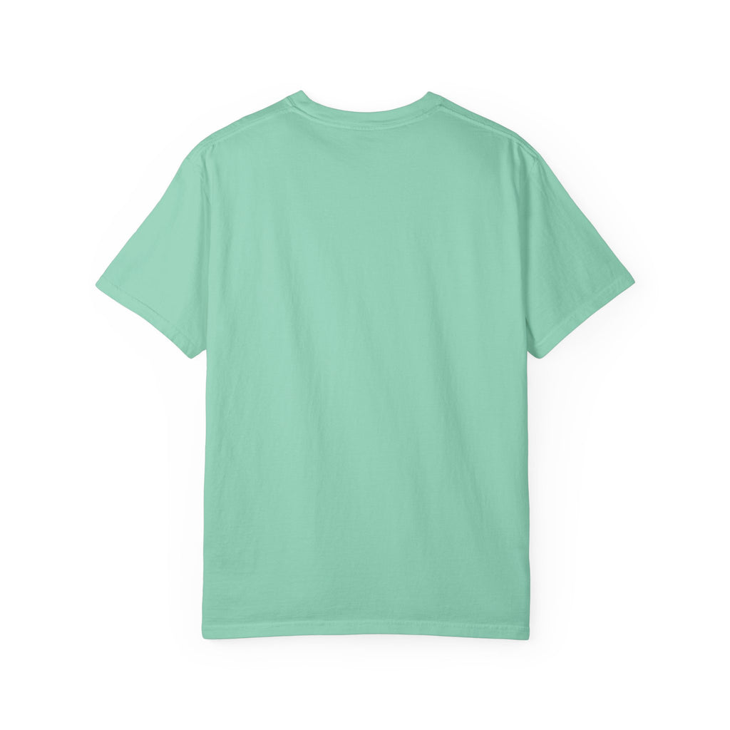 Dear Santa I Can Explain Christmas T-Shirt