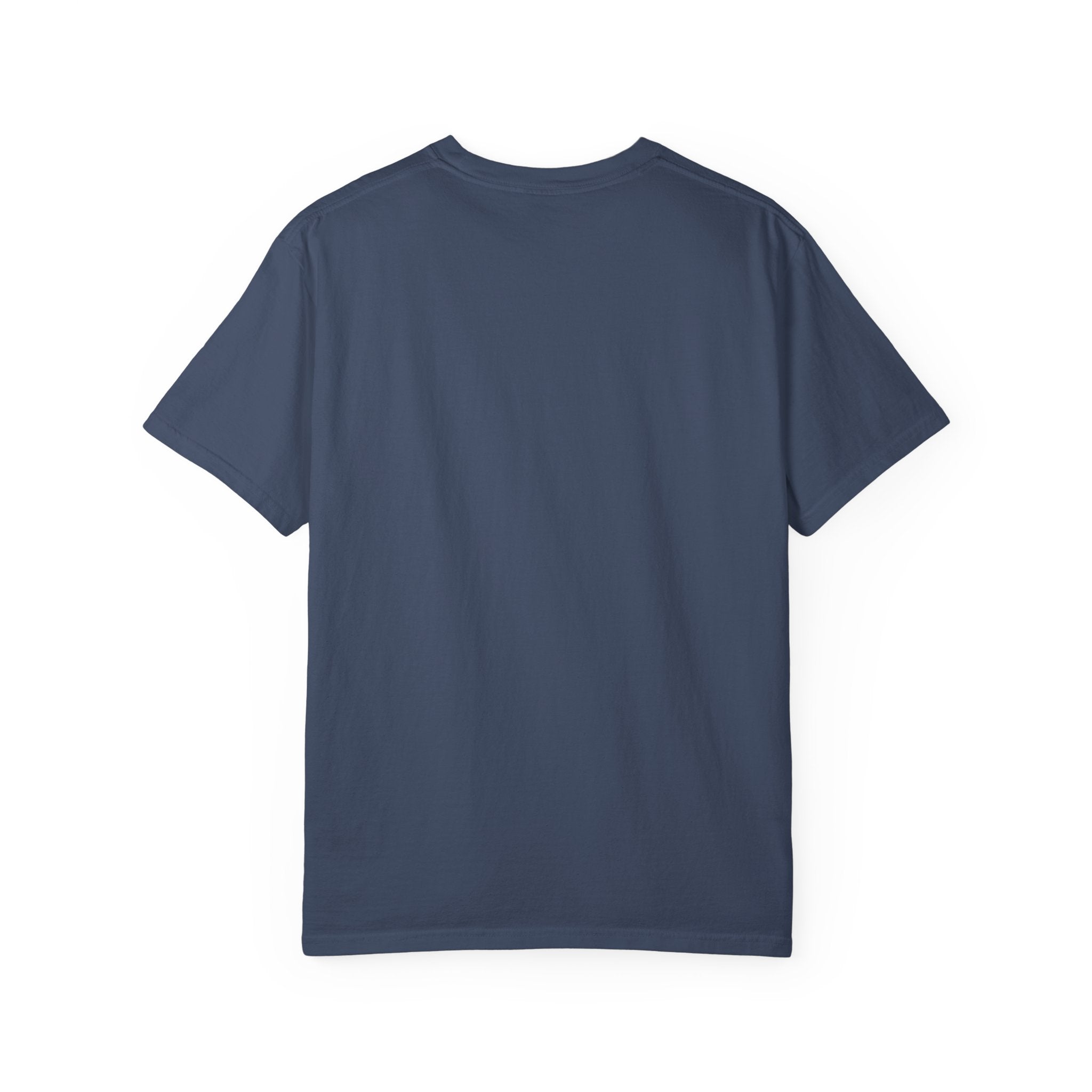 Dear Santa I Can Explain Christmas T-Shirt