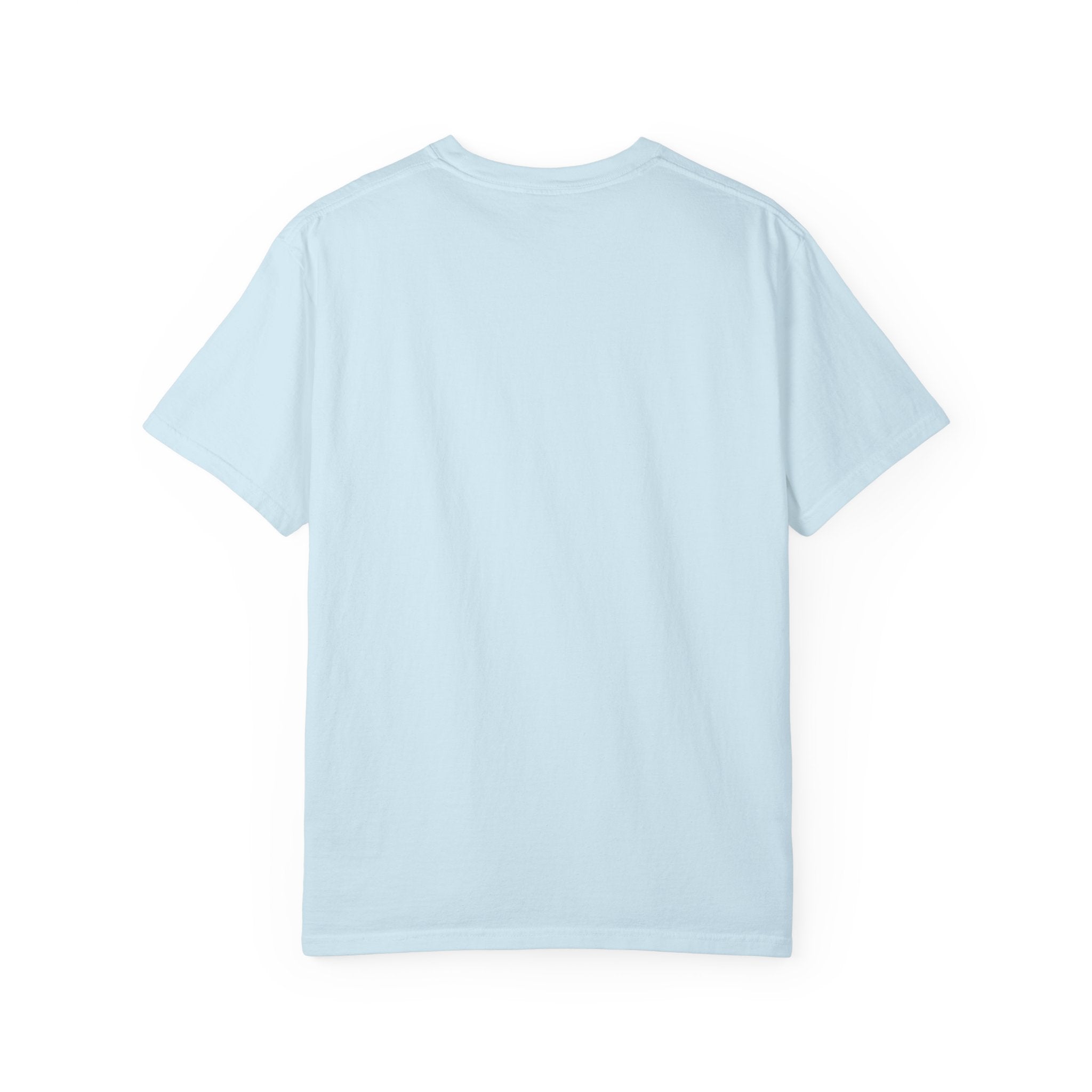 Dear Santa I Can Explain Christmas T-Shirt