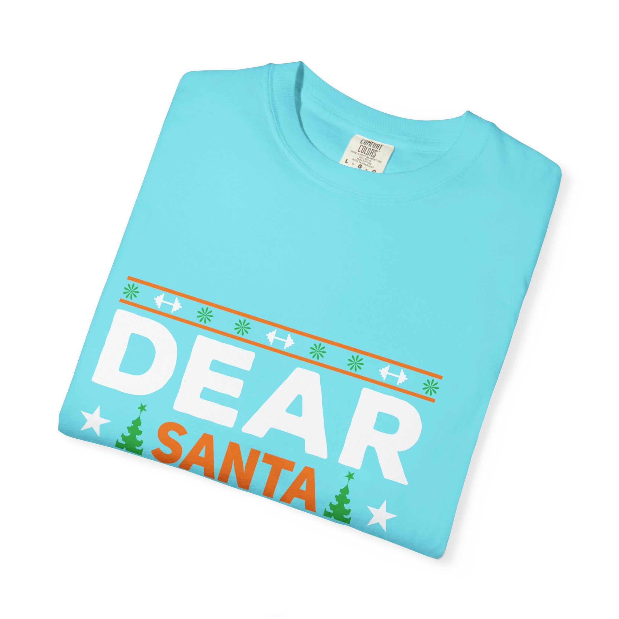 Dear Santa I Can Explain Christmas T-Shirt